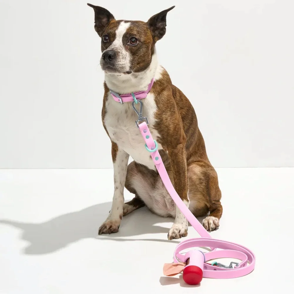 Wild One Waterproof Collar and Waterproof Leash Walk Kit in Black Size Small